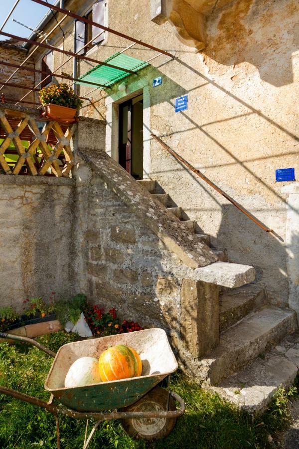 Rural Apartment Carolina Zrenj Exterior foto